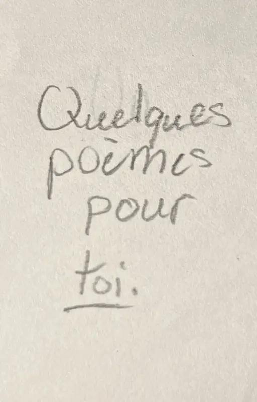 Quelques poèmes pour toi
