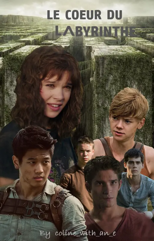Le cœur du labyrinthe