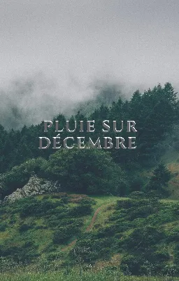 Pluie sur Décembre