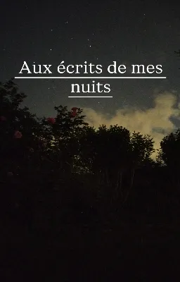 Aux écrits de mes nuits