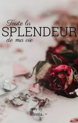 Toute la Splendeur de ma vie