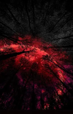 La nuit de chasseurs