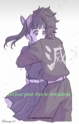 Un jour peut-être je reviendrais