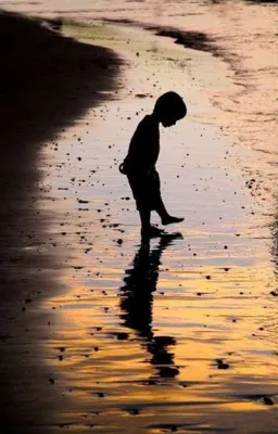 Absence de soleil