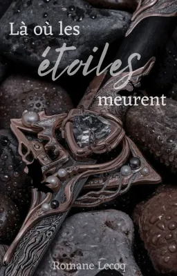 Là où les étoiles meurent