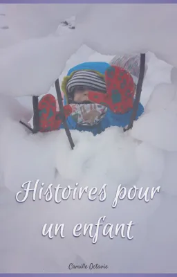 Histoires pour un enfant