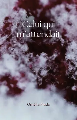 Celui qui m'attendait