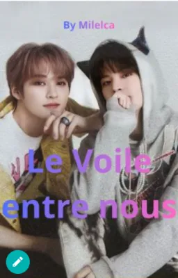 Le Voile entre nous