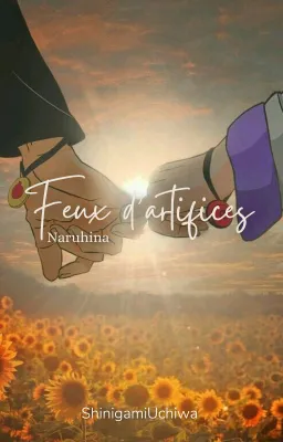 Feux d'artifices. OS