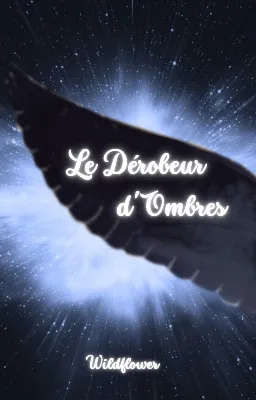 Le Dérobeur d'Ombres