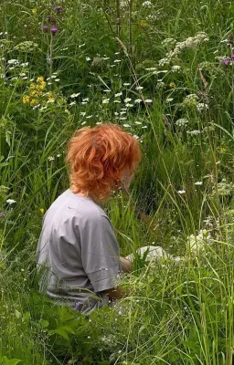 boy in the forest