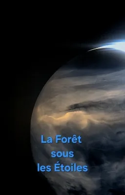 La forêt sous les étoiles