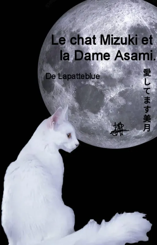 Le chat Mizuki et la Dame Asami.
