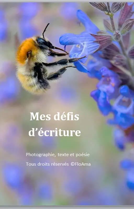 Mes défis