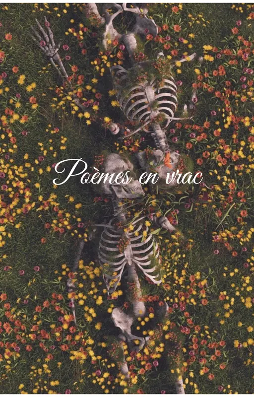 Poèmes en vrac