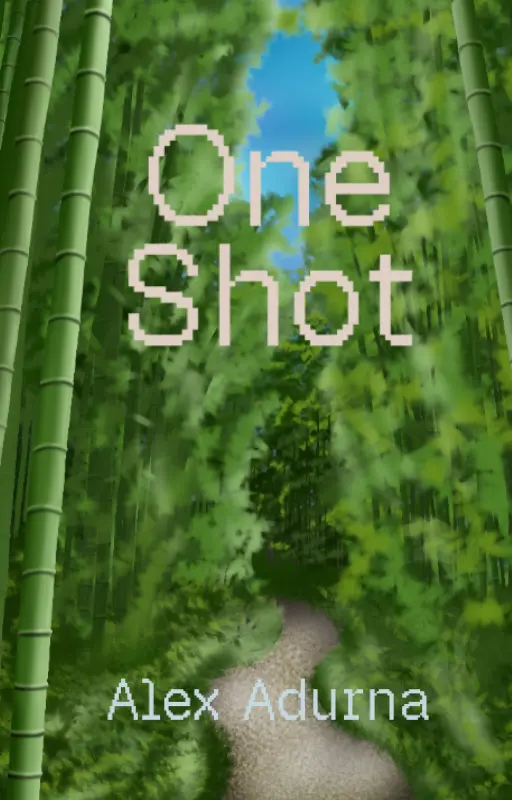 Recueil de One Shot