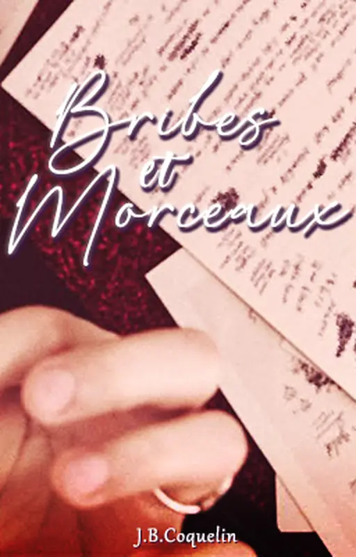 • Bribes et Morceaux •