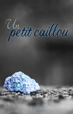 Un petit caillou
