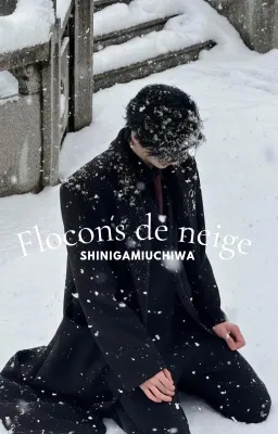 Flocons de neige.