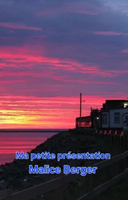 Ma petite présentation