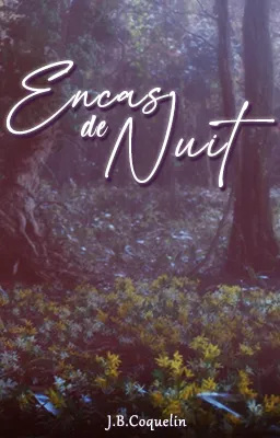 🔮🌙 • Encas de nuit