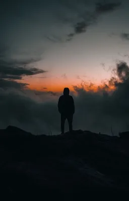 Si je l'avais plus aimé