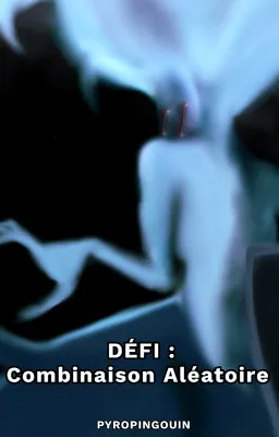 Défi : Combinaison Aléatoire