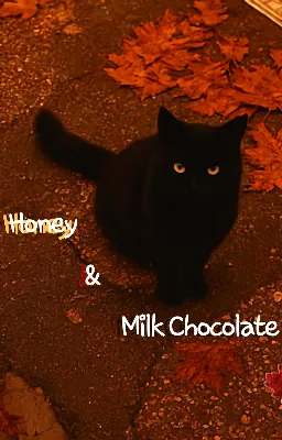— ☆ • Honey & Milk Chocolate • ☆ —