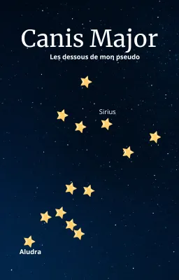 Les dessous de mon pseudo