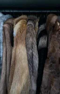 Manteaux en fourrure