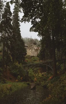 Bibliothèque du haut du monde