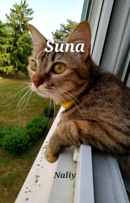 Suna