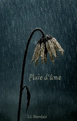 Pluie d'âme