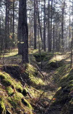 Il était dans un petit sillon de campagne