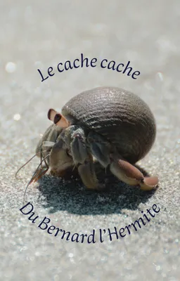 Le cache cache du Bernard l'Hermite
