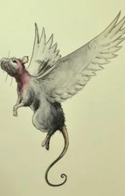 Le rat à plumes