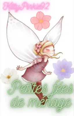 La raison de mon roman (Petites fées de ménage)