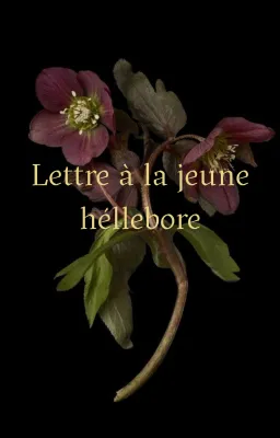 Lettre à la jeune héllebore