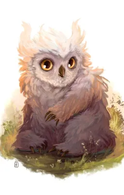 Comment éduquer correctement son Ours-Hibou.