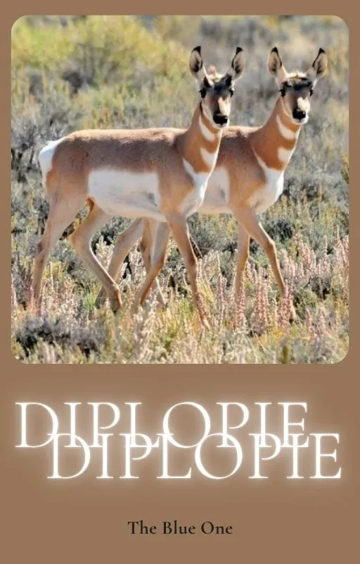 Diplopie