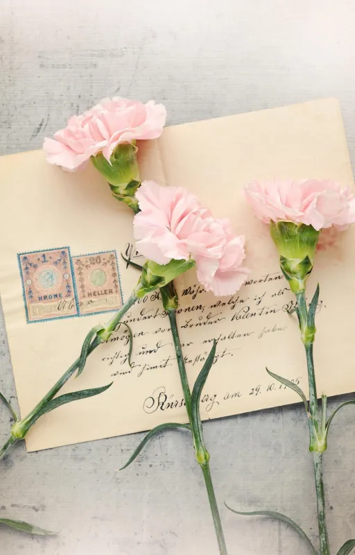 Une lettre