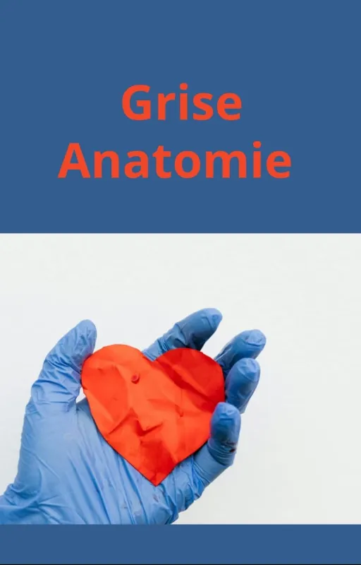 Grise Anatomie