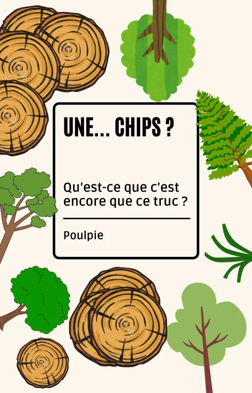 Une... Chips ?