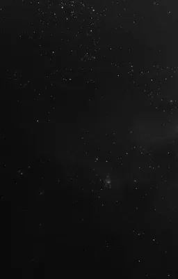 Zeus-21