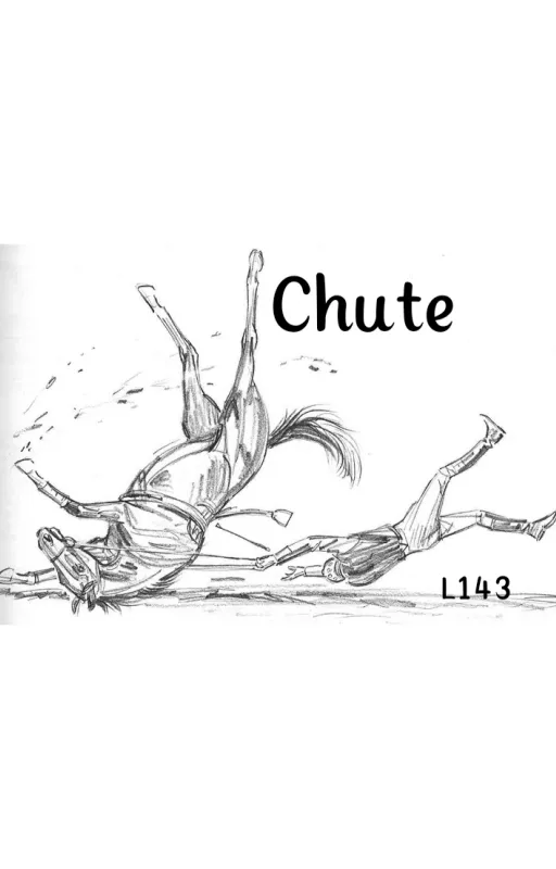 Chute