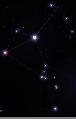Orion