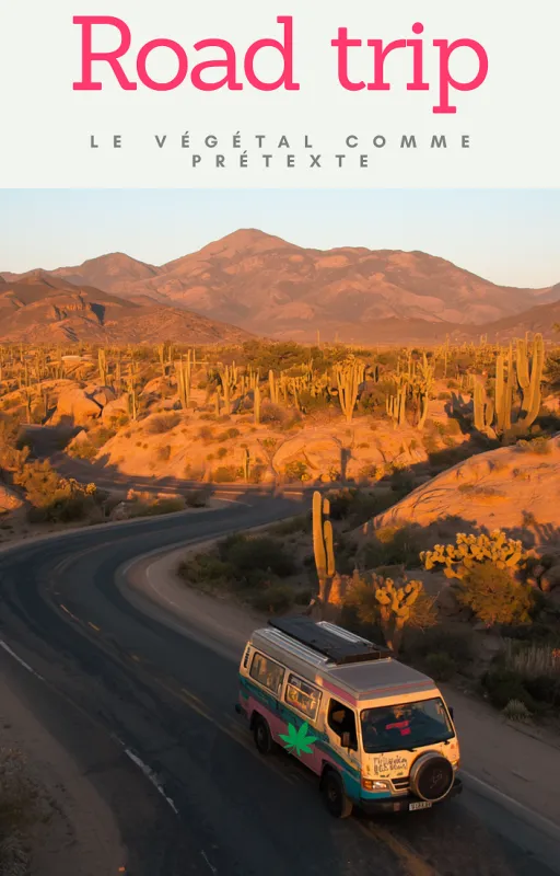 Road trip : le végétal comme prétexte