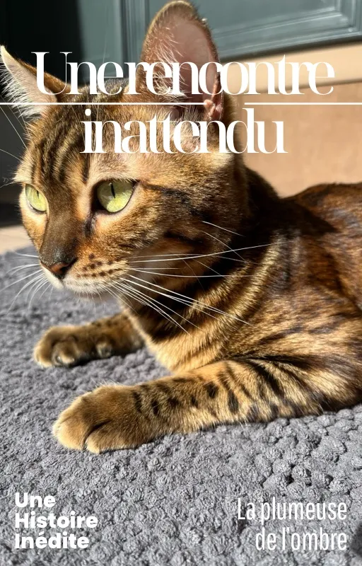 Une rencontre inattendu