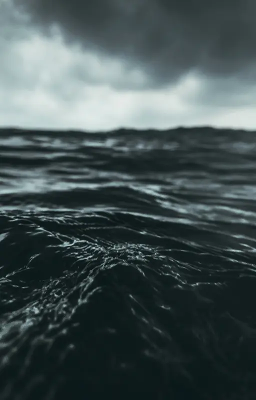 Ceux que la mer garde