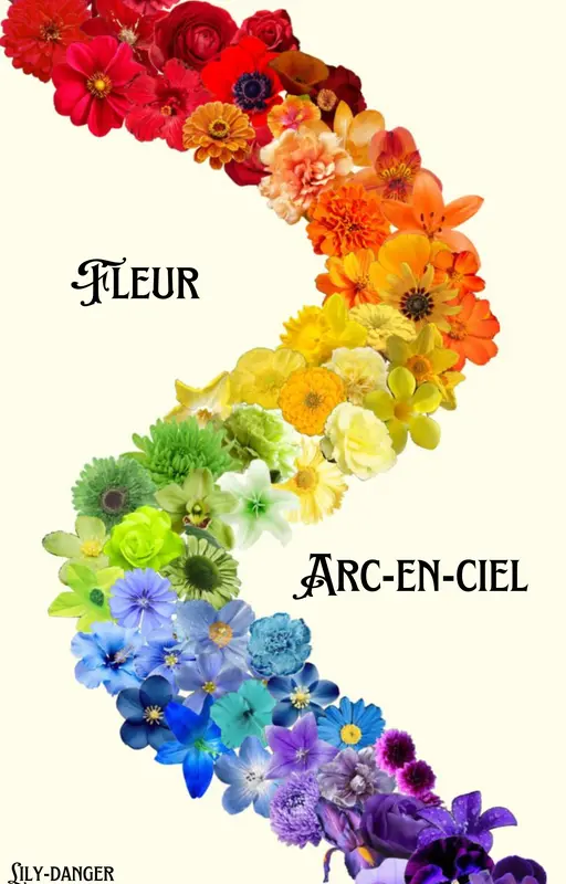 Fleur arc-en-ciel